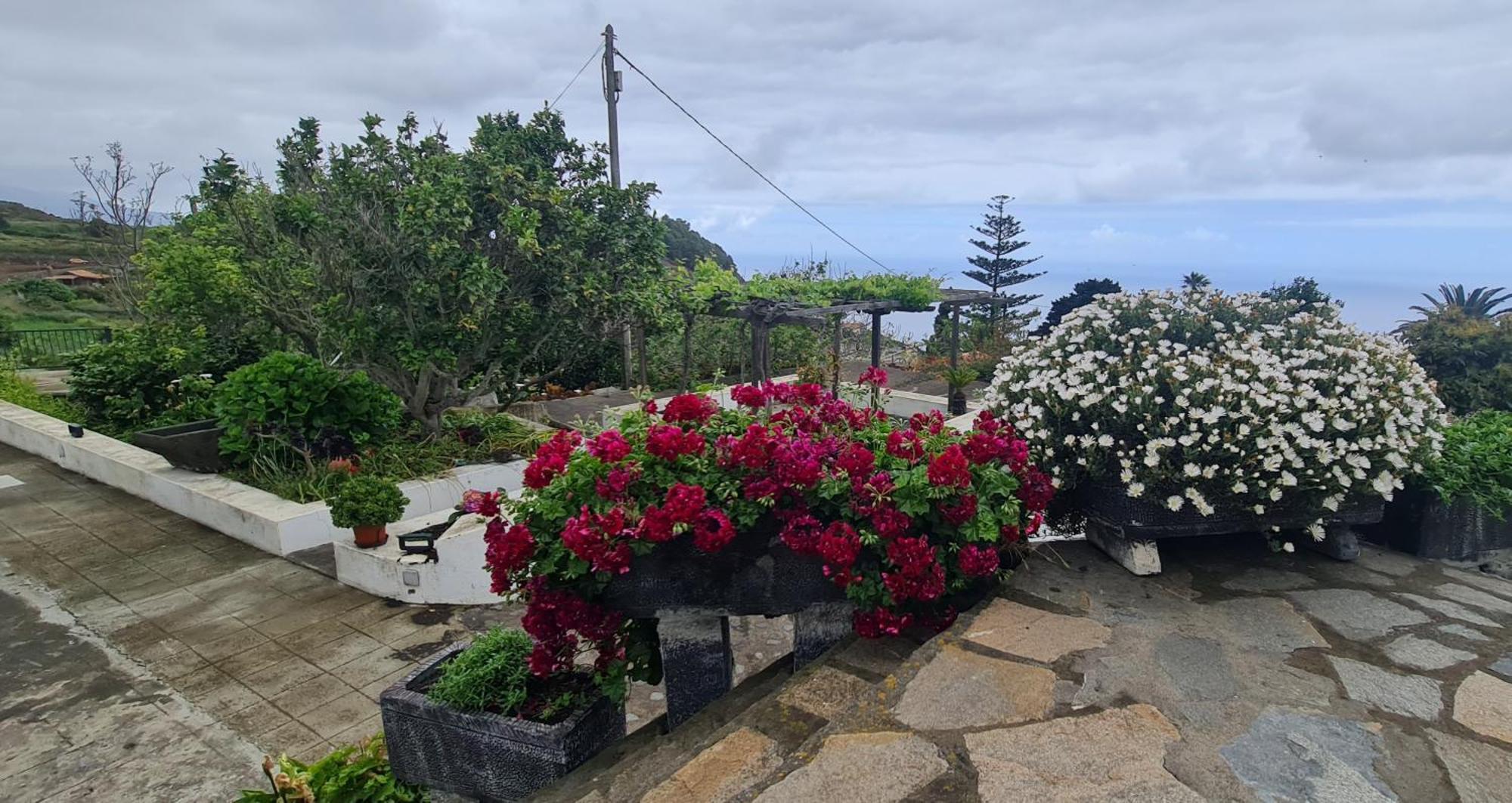 Vivienda Vacacional Finca Monterrey Mazo Værelse billede
