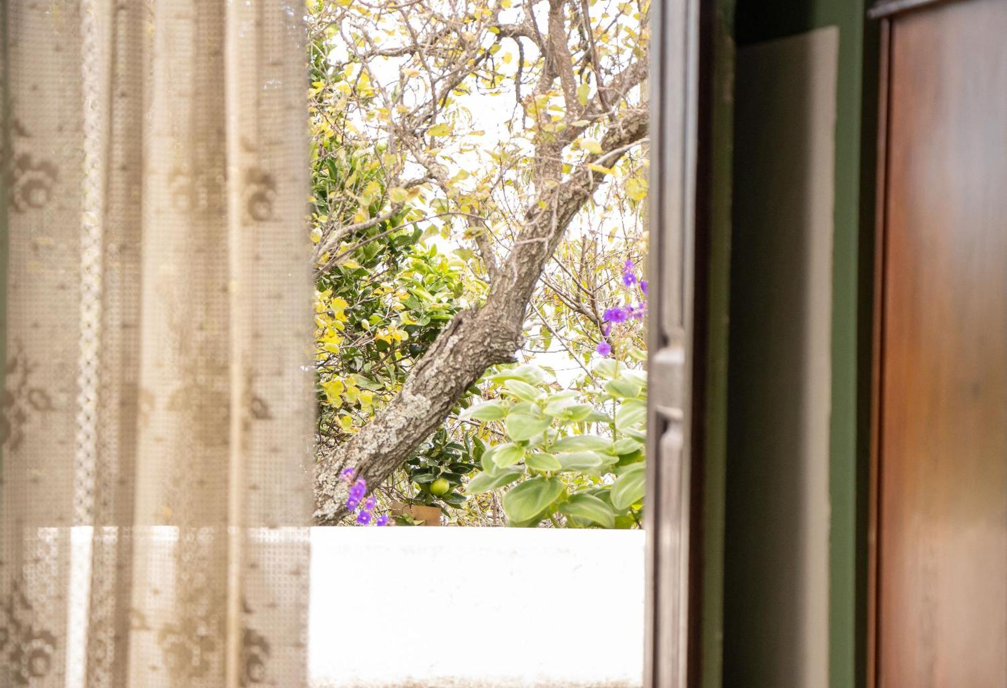 Vivienda Vacacional Finca Monterrey Mazo Eksteriør billede